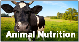 animalnutrition-small.png